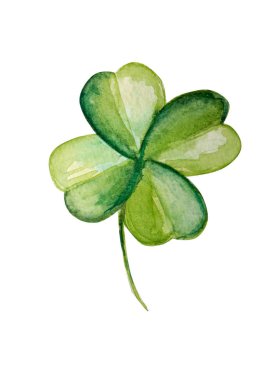 Güzel yonca bitkisi suluboya çizimi