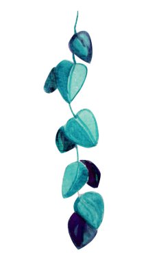 Siyah arka plan suluboya illüstrasyon yeşil bitki