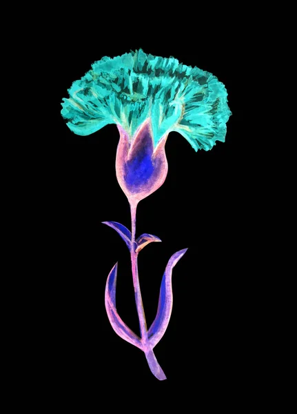 Gyönyörű szegfű virág akvarell illusztráció — Stock Fotó