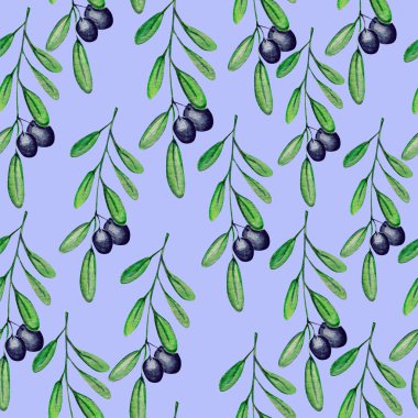 Güzel zeytin bitkisi desen suluboya illüstrasyon