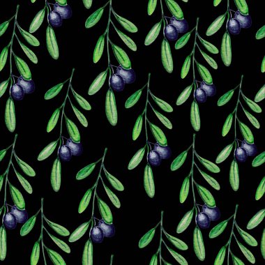 Güzel zeytin bitkisi desen suluboya illüstrasyon