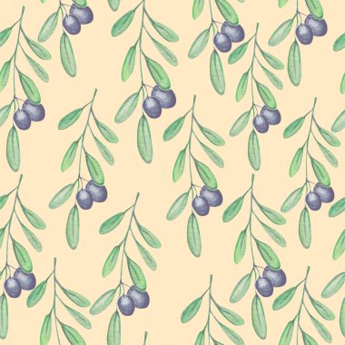 Güzel zeytin bitkisi desen suluboya illüstrasyon