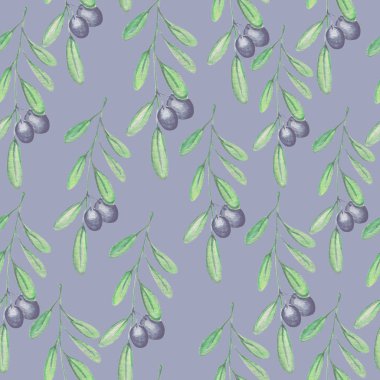 Güzel zeytin bitkisi desen suluboya illüstrasyon