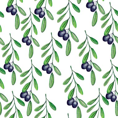 Güzel zeytin bitkisi desen suluboya illüstrasyon