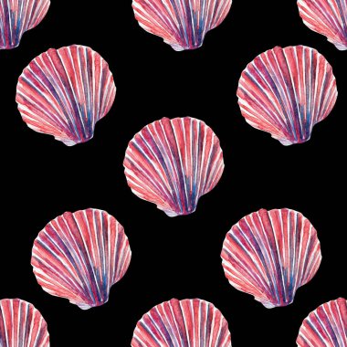 Güzel deniz kabuğu suluboya baba çizimi