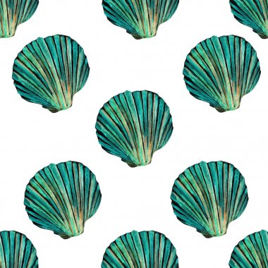 Güzel deniz kabuğu suluboya baba çizimi