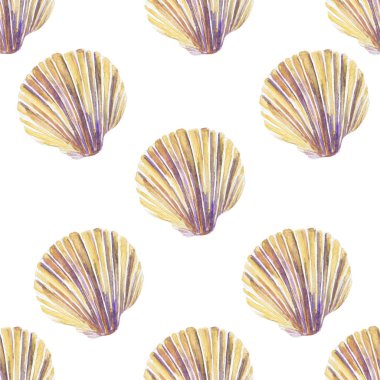 Güzel deniz kabuğu suluboya baba çizimi