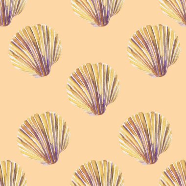 Güzel deniz kabuğu suluboya baba çizimi