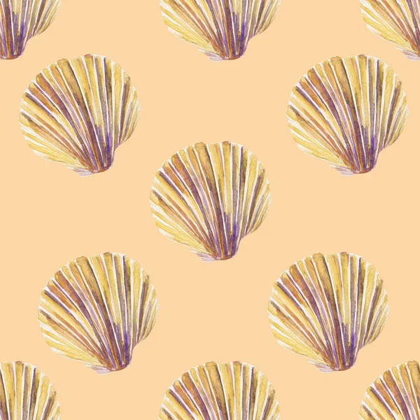 Güzel deniz kabuğu suluboya baba çizimi