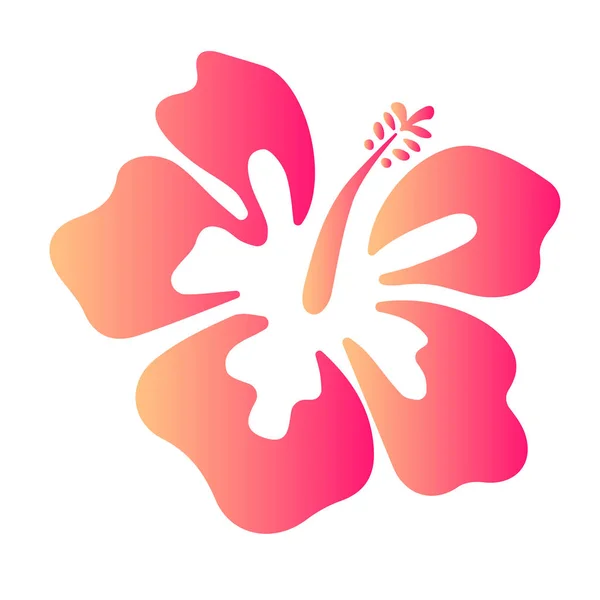 夏のハイビスカス美しい花ベクトルイラスト — ストックベクタ