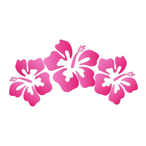 Güzel ebegümeci yaz çiçek vektör illüstrasyon