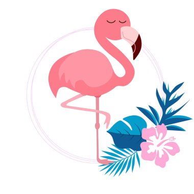 Pembe sevimli pembe flamingo vektör illüstrasyon