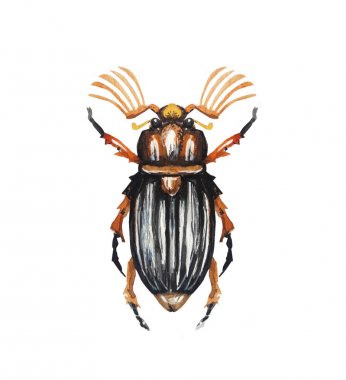 Suluboya çanta desen arka plan illüstrasyon