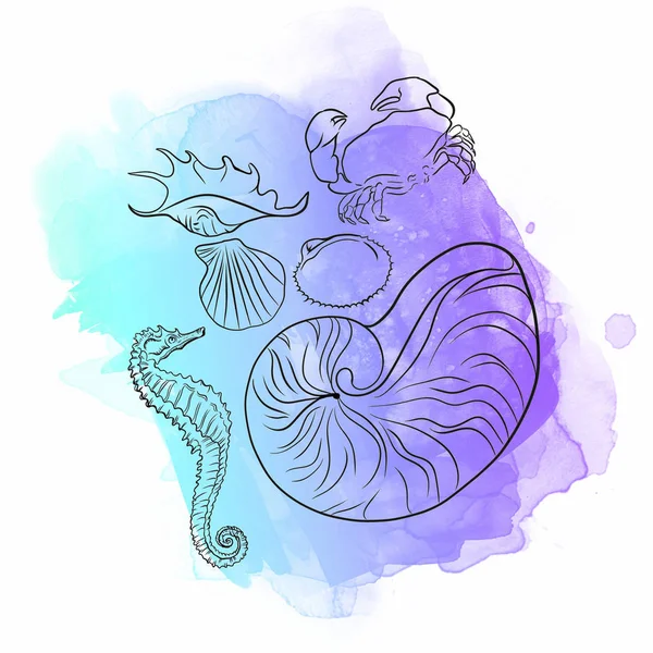 水彩贝壳艺术插图 — 图库照片