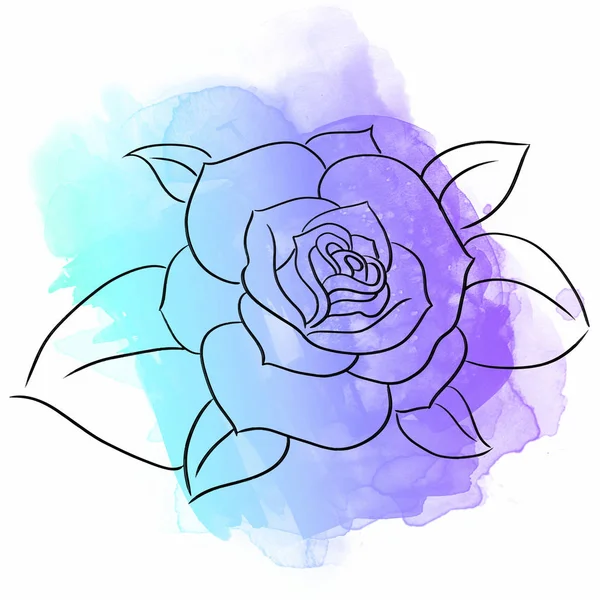 수채화 꽃 아름다운 예술 삽화 — 스톡 사진