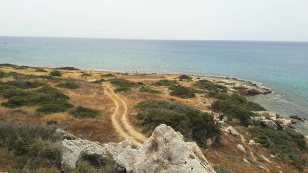 Mooie Suumer Cyprus Natuur Achtergrond — Stockfoto