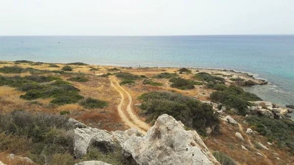 Gyönyörű Suumer Ciprus Természet Háttér — Stock Fotó