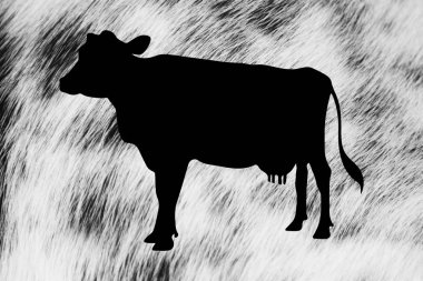 Siyah ve beyaz Cow siluet cilt illüstrasyon 