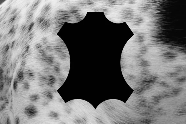Чорно Білий Коров Ячий Силует Шкіри Ілюстрація — стокове фото
