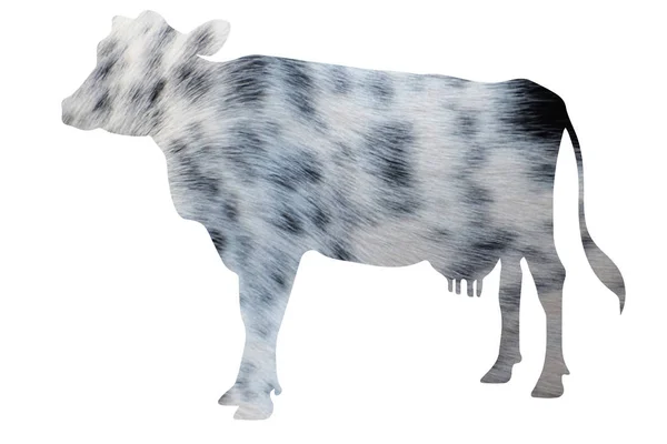 Ilustración Piel Silueta Vaca Blanco Negro —  Fotos de Stock