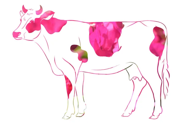 Belle Illustration Symbole Vache Art — Photo