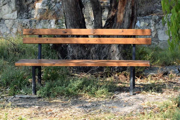 Banc Vide Dans Parc — Photo