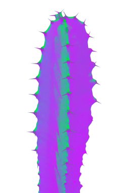 Güzel renkli modern tasarım kaktüs