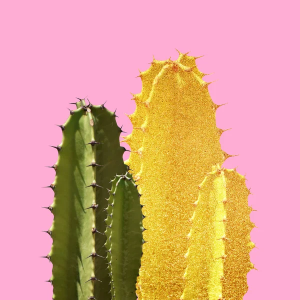 Art Golden Cactus Silhouette Pink Background — Stock Photo, Image