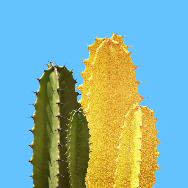 Arte Golden Cactus Silhueta Fundo Azul — Fotografia de Stock