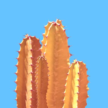  Mavi arka planda sanat altın kaktüs silüeti