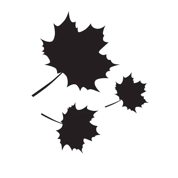白い背景に黒い秋の葉のシルエット — ストック写真