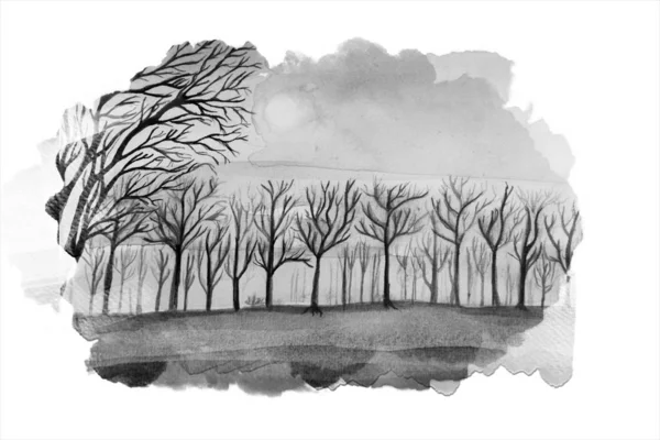 Mooie Forest Art Hand Tekenen Kunst Illustratie — Stockfoto