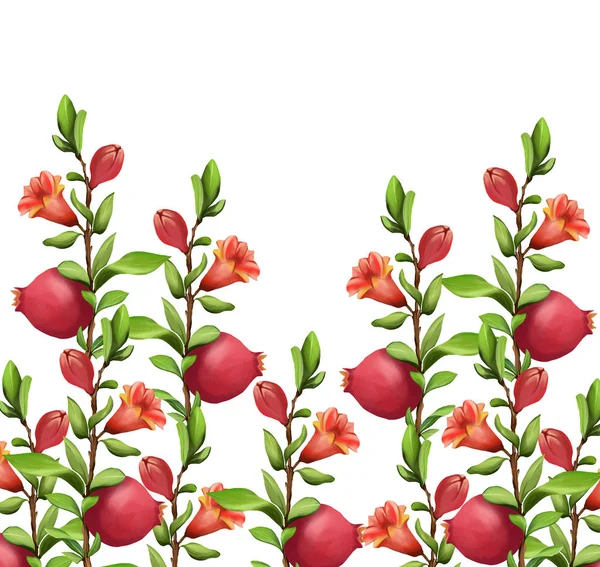 Beautiful Red Pomegranate Fruit Art Illustration — Stock Photo, Image