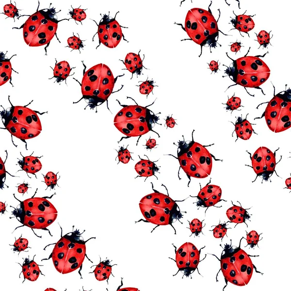 Beautiful Red Lady Bug Art Illustration — Stock Photo, Image