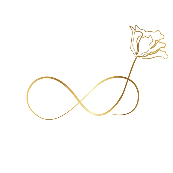 Zarif sonsuzluk işareti, vektör illüstrasyonu