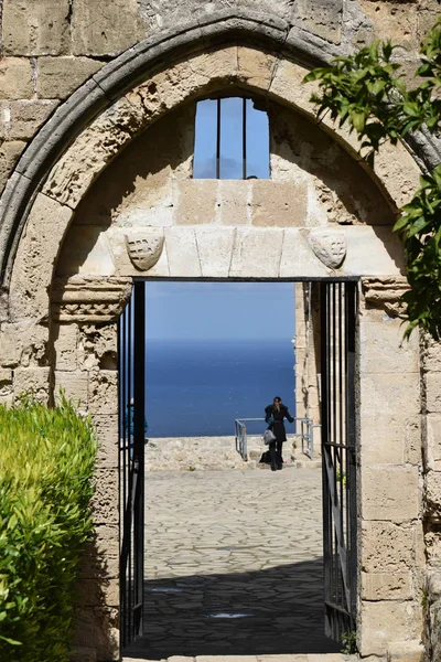 Sommer Wilder Historischer Ort Auf Zypern — Stockfoto