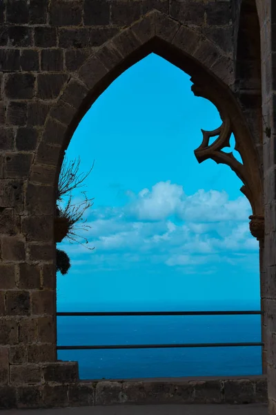 Verão Selvagem Lugar Histórico Chipre — Fotografia de Stock