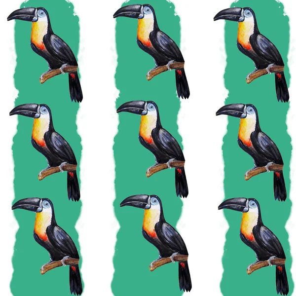 Toucan Pássaro Água Cor Arte Ilustração — Fotografia de Stock