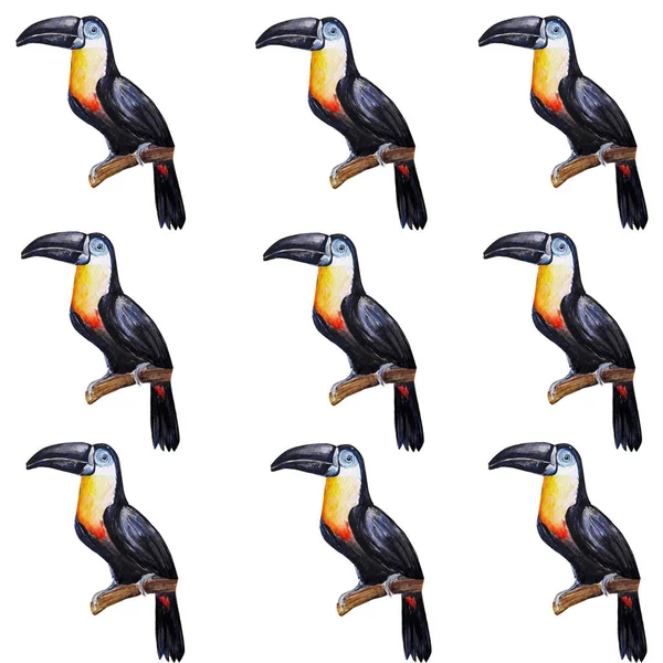Toucan Fågel Vattenfärg Konst Illustration — Stockfoto