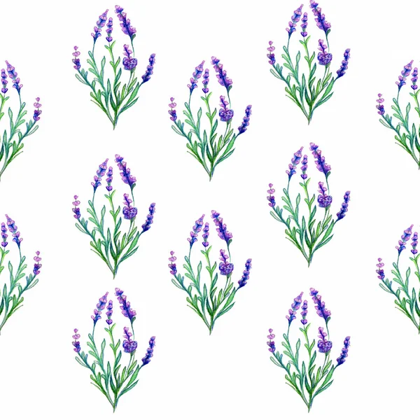 Lavender Flowers Watercolor Art Illustration — Stock Photo, Image