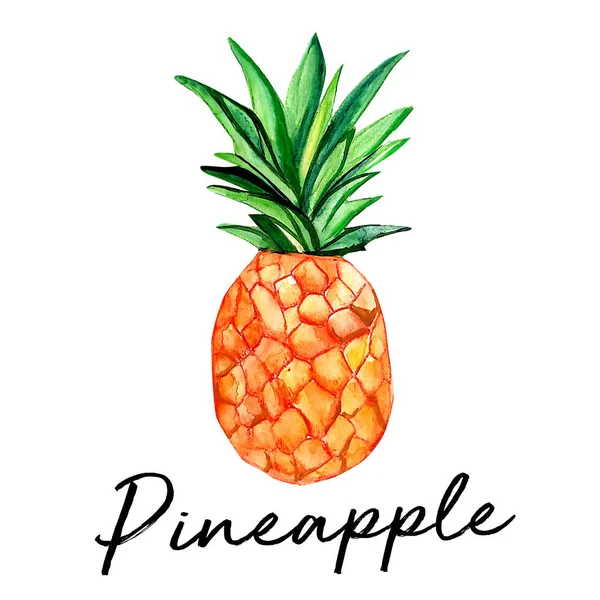 Suluboya ile egzotik meyve ananas çizim