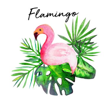  palmiye ile su rengi flamingo