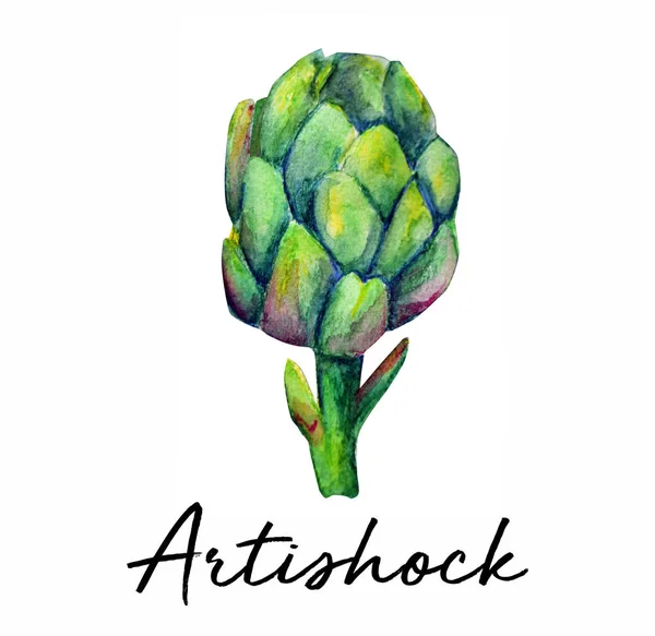 Artishock Plant Akvarell Konst Illustration — Stockfoto