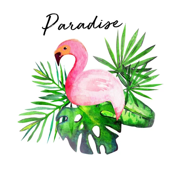 Palmiye Ile Rengi Flamingo — Stok fotoğraf