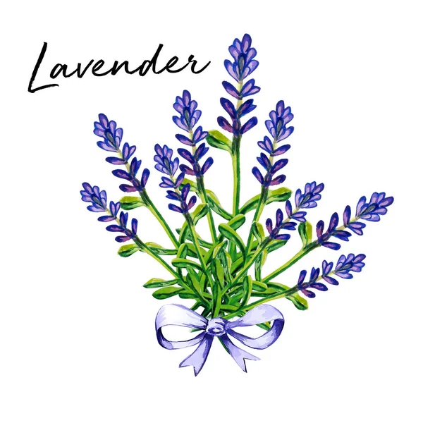 Λεβάντα Λουλούδι Τέχνη Υδατογραφια Εικόνα — Φωτογραφία Αρχείου