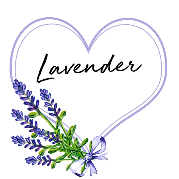 Lavanda Fiore Acquerello Arte Illustrazione — Foto Stock