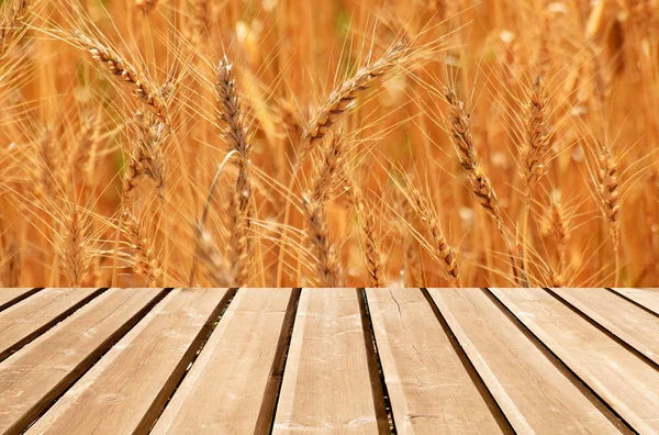 Trä Hylla Butik Med Natur Bakgrund — Stockfoto