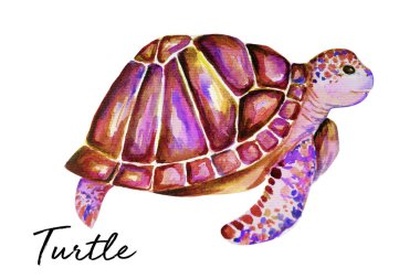 Güzel kaplumbağa sanat su renk arka plan illüstrasyon