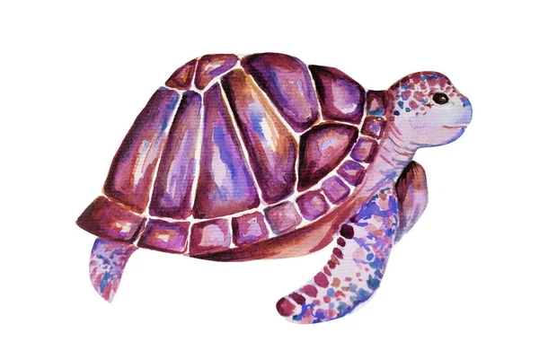Mooie Schildpad Kunst Water Kleur Achtergrond Illustratie — Stockfoto
