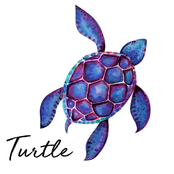 Schöne Schildkröte Kunst Aquarell Hintergrund Illustration — Stockfoto